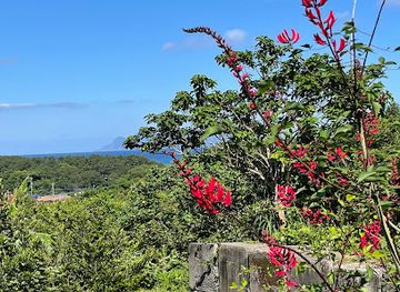 japan/yakushima/landmark/shiba-tofu-shop