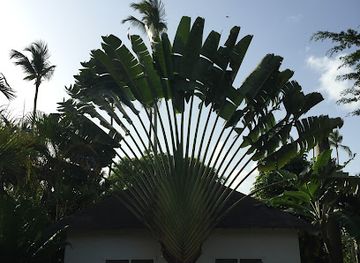 dominican-republic/las-terrenas/landmark/casa-barbara-las-terrenas