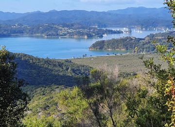 new-zealand/paihia/landmark/paihia-school-road-track-opua-forest-lookout