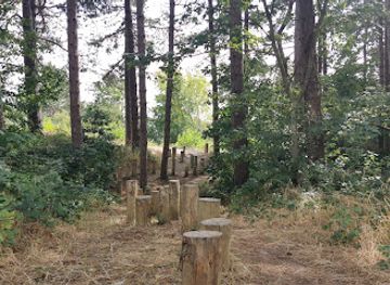 belgium/de-haan/landmark/de-duinbossen-van-de-haan-deelgemeente-klemskerke