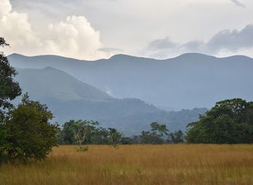 liberia/harper/landmark/totalreservat-berg-nimba