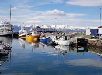 iceland/husavik-area/landmark/gamli-baukur