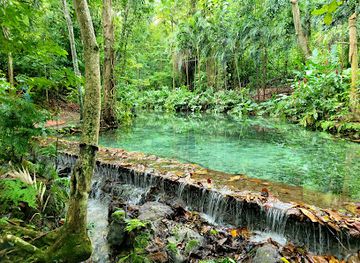 jamaica/john-crow-mountains/landmark/mystic-mountain