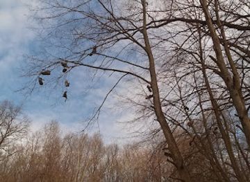 ukraine/kharkiv/gorky-park/landmark/sokolnyky-pomirky