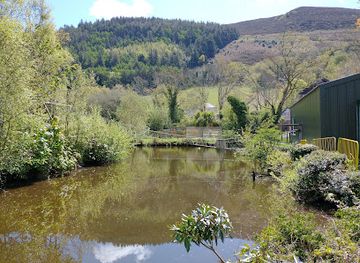 isle-of-man/glen-maye/landmark/curraghs-wildlife-park