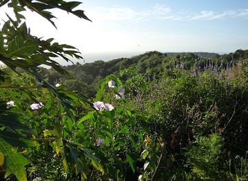 trinidad-and-tobago/edith-falls/landmark/corbin-local-wildlife