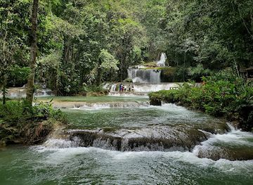 jamaica/manchester-plateau/landmark/ys-falls