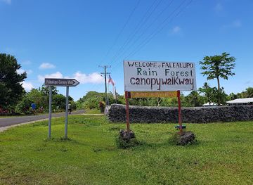 samoa/asau/landmark/falealupo-canopy-walkway