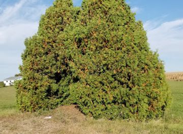 wisconsin/southern-wisconsin/landmark/wisconsin-state-historical-marker-336-sir-henry-soloman-wellcome-1853-1936