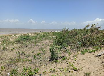 guyana/skeldon/landmark/number-63-beach