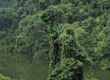 singapore/bukit-timah-nature-reserve/landmark/bukit-gombak-hill