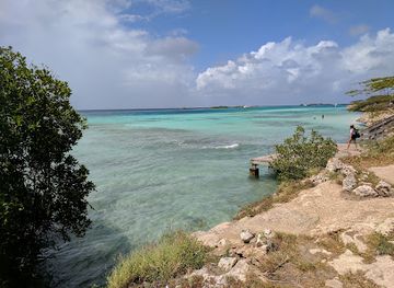 aruba/mangel-halto/landmark/mangel-halto-bar