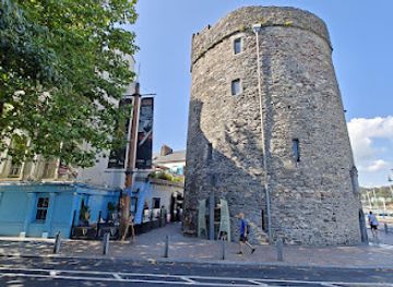 ireland/county-waterford/landmark/viking-triangle-display