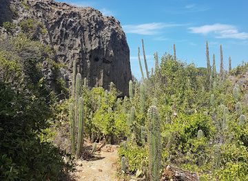 curacao/tera-kora/landmark/kueba-di-pachi