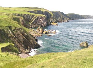 united-kingdom/berwickshire/landmark/scottish-seabird-centre