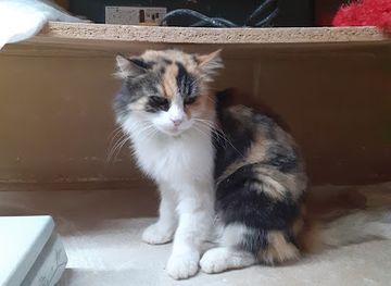 malta/xlendi/landmark/ghar-gherduf-catacombs