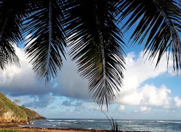 dominican-republic/las-terrenas/landmark/playa-lanza-del-norte