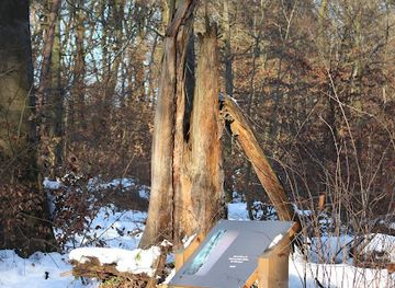 germany/taunus/landmark/kunstwanderweg