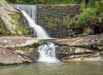 illinois/illinois-ozarks/landmark/dixon-springs-state-park