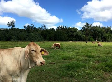 new-caledonia/bourail/landmark/les-bergers-de-dreamland