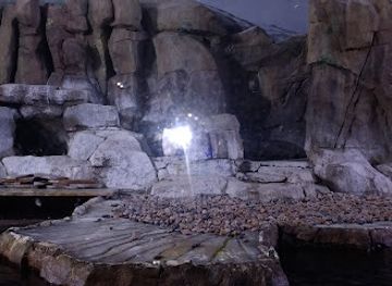 utah/cedar-valley/landmark/loveland-living-planet-aquarium