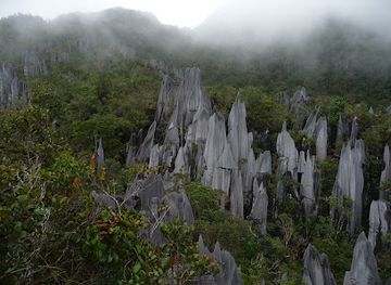 malaysia/mulu-national-park/landmark/mount-mulu