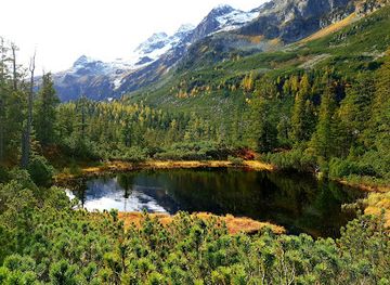 austria/hohe-tauern-national-park/landmark/wiegenwald-weisssee