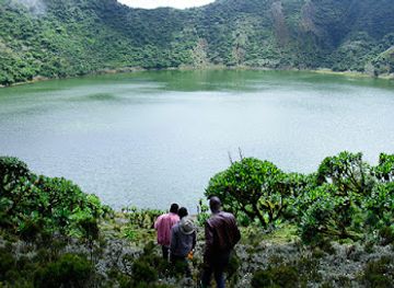 rwanda/southern-province/landmark/rwagasabo-safaris-rwanda