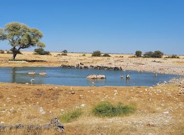 namibia/kavango/landmark/okaukuejo-etosha