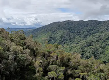Parc National Andasibe Mantadia