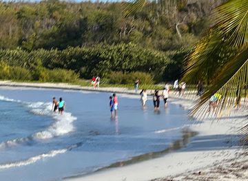 puerto-rico/vieques-island/landmark/black-beard-sports
