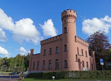 germany/rugen-island/landmark/baumwipfelpfad-im-naturerbe-zentrum-rugen