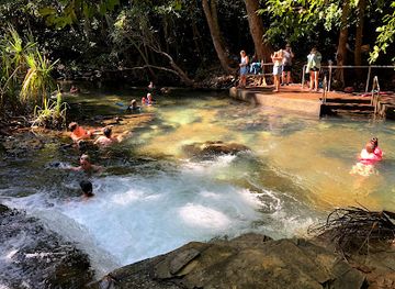 australia/top-end/landmark/berry-springs-nature-park