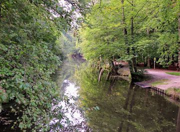 netherlands/veluwe/landmark/lockhorsterbos