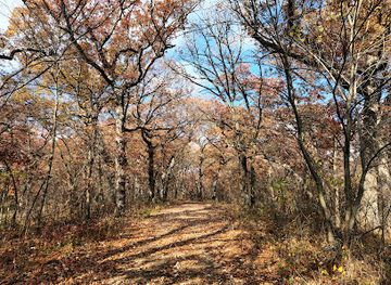 iowa/southeast-iowa/landmark/stephens-state-forest