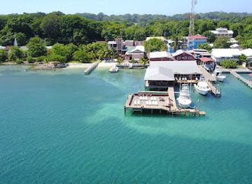 honduras/utila/landmark/bay-islands-college-of-diving