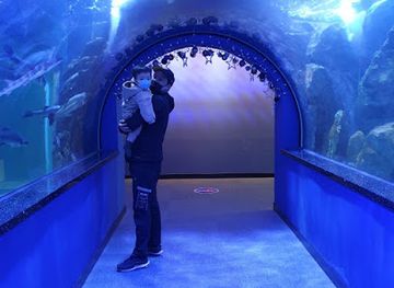 south-korea/yeosu-ocean-park/landmark/maritime-and-fisheries-science-museum