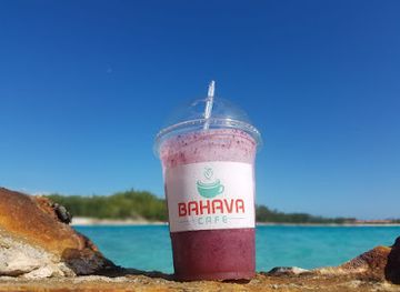 the-bahamas/bimini/landmark/bahava-cafe