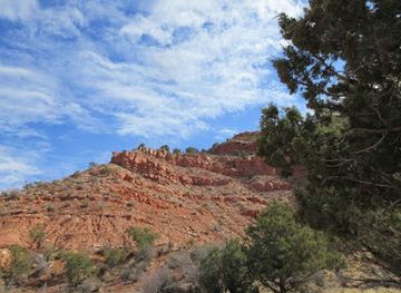 utah/kanab/landmark/toms-canyon