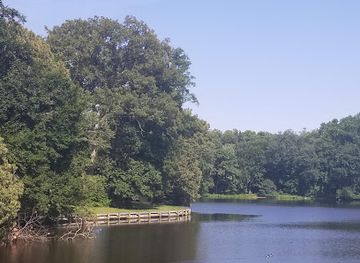 Wye Oak State Park