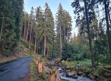 germany/ore-mountains/landmark/erzgebirge