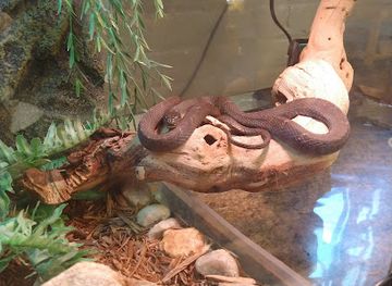 virginia/lynchburg/landmark/the-nature-zone