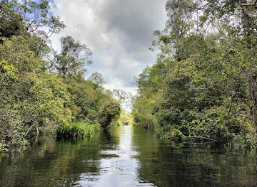 indonesia/kalimantan/landmark/taman-nasional-tanjung-puting