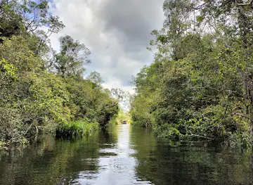 Taman Nasional Tanjung Puting