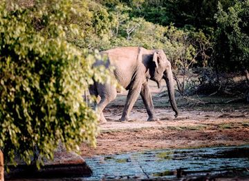 sri-lanka/yala-national-park/landmark/manu-yala-safari-tours