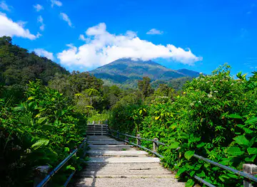 Mount Gede Pangrango National Park