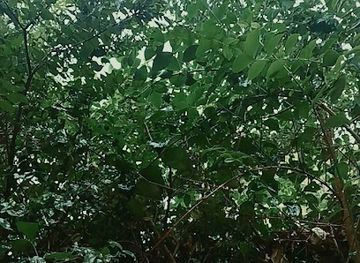 iraq/hawler/landmark/kurdistan-erbil