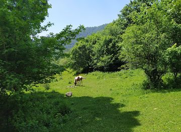 armenia/arevik-national-park/landmark/jukhtakvank-monastery