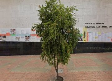 colombia/bogota/la-candelaria/landmark/bogota