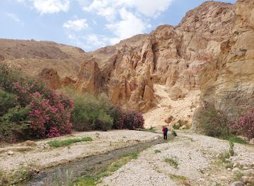 jordan/kerak/landmark/wadi-al-karak